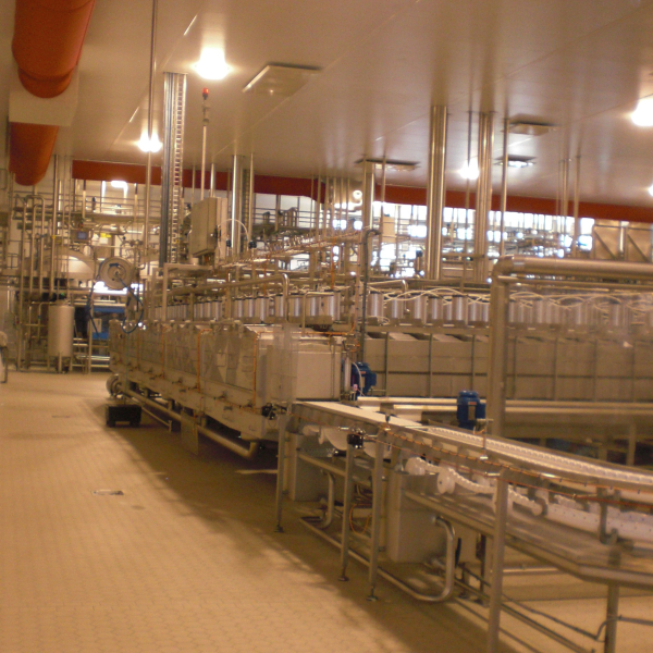 2. Kaasfabriek Workum.JPG
